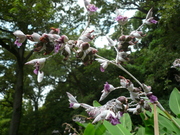 P1050242.JPG