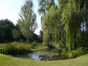 P1050397.JPG
