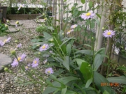 2011_08__011.JPG