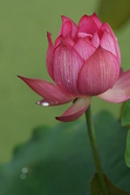 DSC03389.JPG