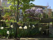 20110424_009.jpg