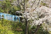 07_the_gazebo_in_spring_2.jpg