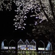 08_the_gazebo_in_spring_3.jpg