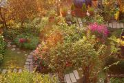 Garden_in_November_08.jpg