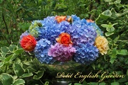 Hydrangea_and_rose_01.jpg