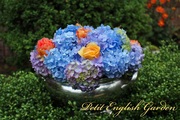 Hydrangea_and_rose_06.jpg