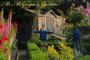 Mr_McGregor_s_garden.jpg