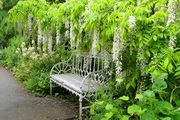 hidcote_monor_02.jpg