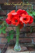 poppy_flower_arrangement.jpg