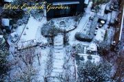 snow_covered_garden_02.jpg