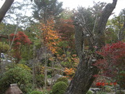 CIMG0006_0.JPG