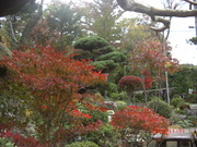 CIMG0007_0.JPG
