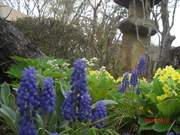 CIMG0061.JPG