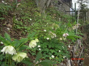 CIMG0074.JPG