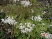 CIMG0090.JPG