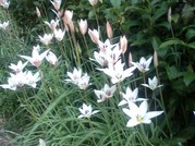 20120410080946.jpg