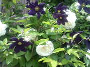 20120514124820.jpg