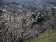 20130212104456.jpg