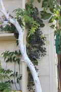 IMG_7851_28427x64029.jpg