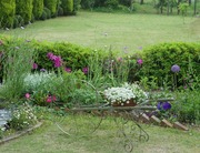 DSC08476.jpg