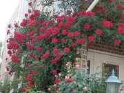 20130517_45.JPG