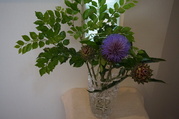 DSC03181.JPG