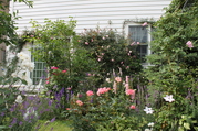 IMG_6156.JPG