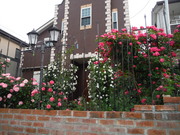 DSCF9032.JPG