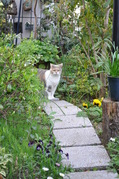 DSC_0338.jpg