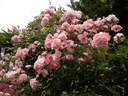 1405092864.jpg