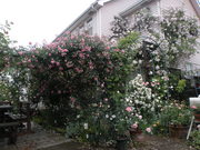 img_480649_22879730_0.jpg