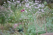 DSC_0078.jpg