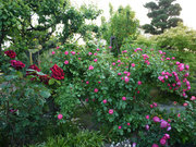 20130508_06.jpg