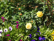 20130512_07.jpg