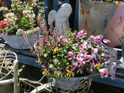 CIMG2010.JPG