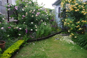 IMGP2457.JPG