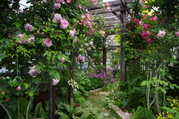 IMGP2470.JPG