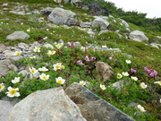 P1020615.JPG