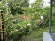 IMG_0634.JPG
