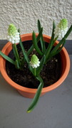 2014020214390000.jpg