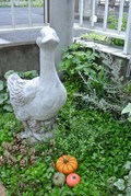 DSC_1153.JPG