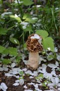 DSC_0122.JPG