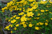 DSC_1660.JPG