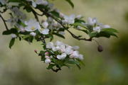 DSC_1738.JPG