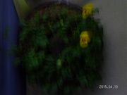 SANY0026.JPG