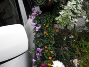 SANY0359.JPG