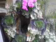 SANY0360.JPG