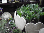 SANY0553_0.JPG