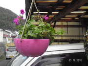 SANY0573.JPG