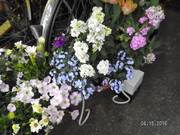 SANY0644_0.JPG